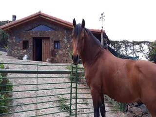 Landhaus La Victoria de Acentejo Außenaufnahme 7