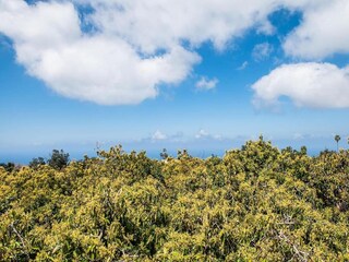 Casa de campo La Victoria de Acentejo Grabación al aire libre 10
