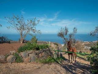 Vakantiehuisje La Victoria de Acentejo  40