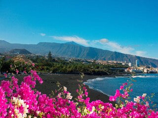 Maison de vacances Puerto de la Cruz Environnement 29