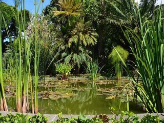Ferienhaus Puerto de la Cruz Außenaufnahme 3