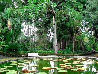 Vakantiehuis Puerto de la Cruz Buitenaudio-opname 5