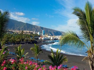 Ferienhaus Puerto de la Cruz Umgebung 32