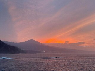 Holiday house Puerto de la Cruz Environment 36