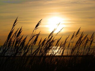 Bungalow Zoutelande Omgeving 22