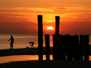 Bungalow Zoutelande Omgeving 18