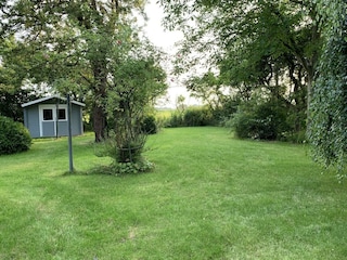 Blick in den Garten