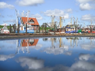 Fedderwardersiel_Kutter_Krabben_Butjadingen