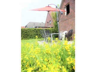 Blick auf die Terrasse