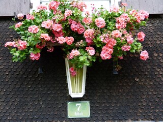 Holiday apartment Sulzberg im Allgäu Outdoor Recording 3