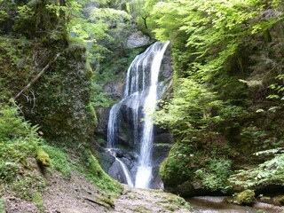 Niedersonthofner Wasserfall versteckt im Wald