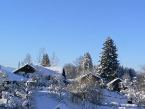 Ferienwohnung Hiemer 2 - Sulzberg im Allgäu - image1