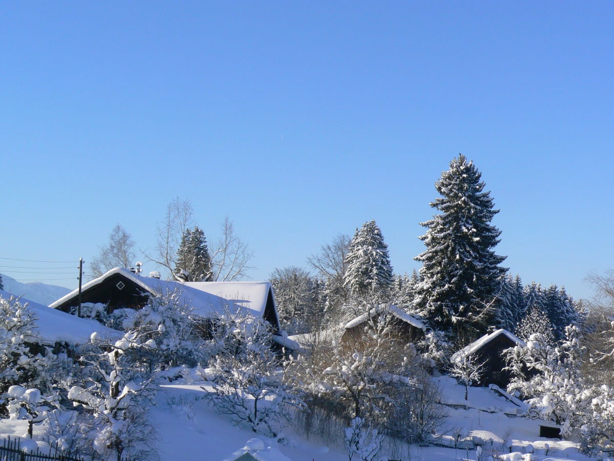 Country house in winter