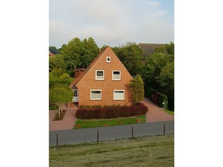 Frontansicht