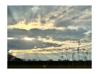 WhatsApp Bild 2024-03-21 um 10.07.21_dbe06d2f