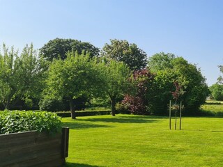 Blick in den Garten