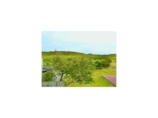 Landschaft
