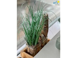 Appartamento per vacanze Wangerooge Registrazione all'aperto 14