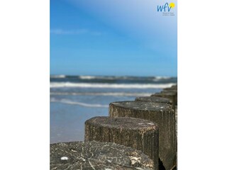 Appartamento per vacanze Wangerooge Registrazione all'aperto 18