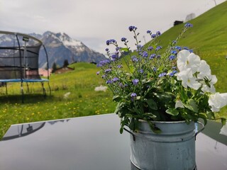 IMG_20230521_125843 (Benutzerdefiniert)
