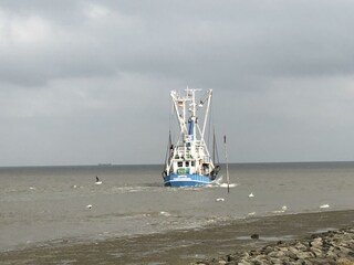 Einfahrt Krabbenkutter Fedderwardersiel