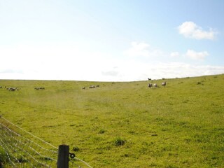 Blick auf den Deich_Annemarie