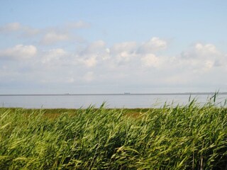 Blick vom Deich auf das Wattenmeer_Annemarie