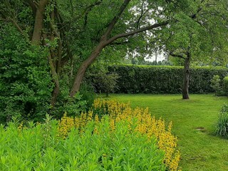 Garten Nordapart
