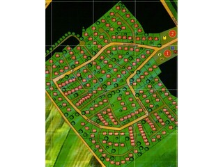 Parkplan