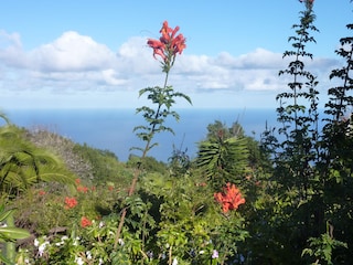 Casa Flores - Meerblick 2