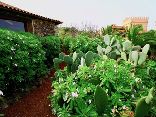 Casa Flores - Kakteen, Garten Umgebung