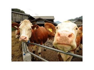 Immer Zugang zum Freien, bei Wind und Wetter