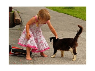 Tierisch viel Spass am Hof