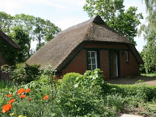 Aussenansicht_Meiners