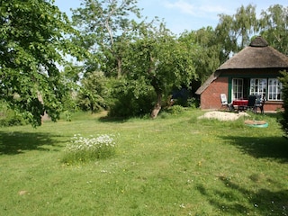 Blick über die Wiesen_Meiners