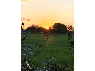Blick über die Wiesen