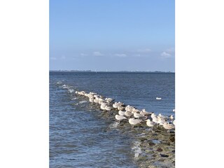Die Nordsee bei Flut