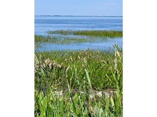 Deichvorland an der Nordsee