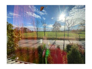 Blick aus dem Zimmer