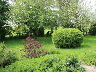 Blick in den Garten
