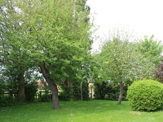 Garten 1