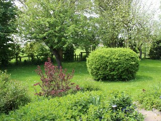 Blick in den Garten