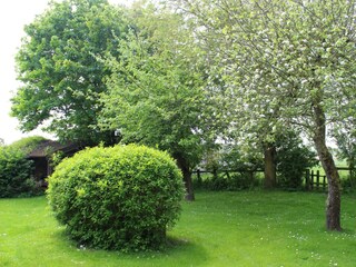 Garten 2