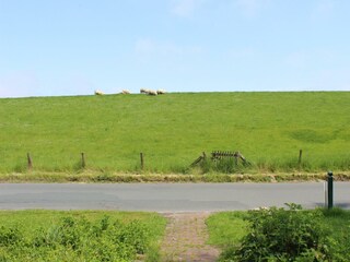 Blick auf den Deich