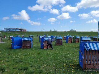 Strandkörbe am Friesenstrand Tossens