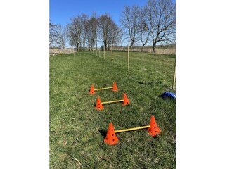 Hundeauslauf mit Agilityspielzeug