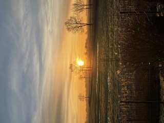 IMG_2503