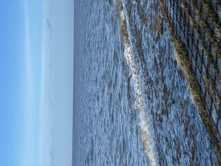 IMG_1659