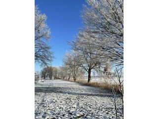 IMG_0799