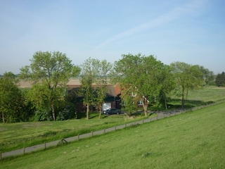 Blick vom Deich auf das Haus_Hibbeler